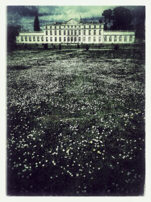 campo de flores y edificio