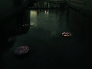 flores en el agua