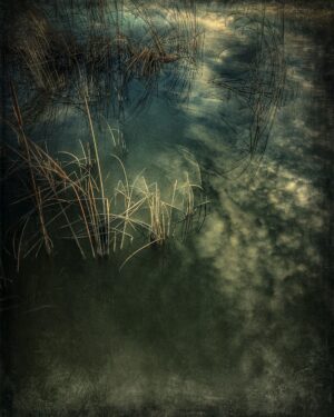 Estany d'Ivars i Vila-Sana. Lleida.